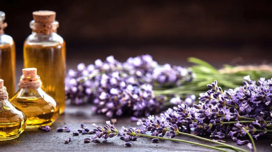 Strongest fragrance oils that fill a room - top picks