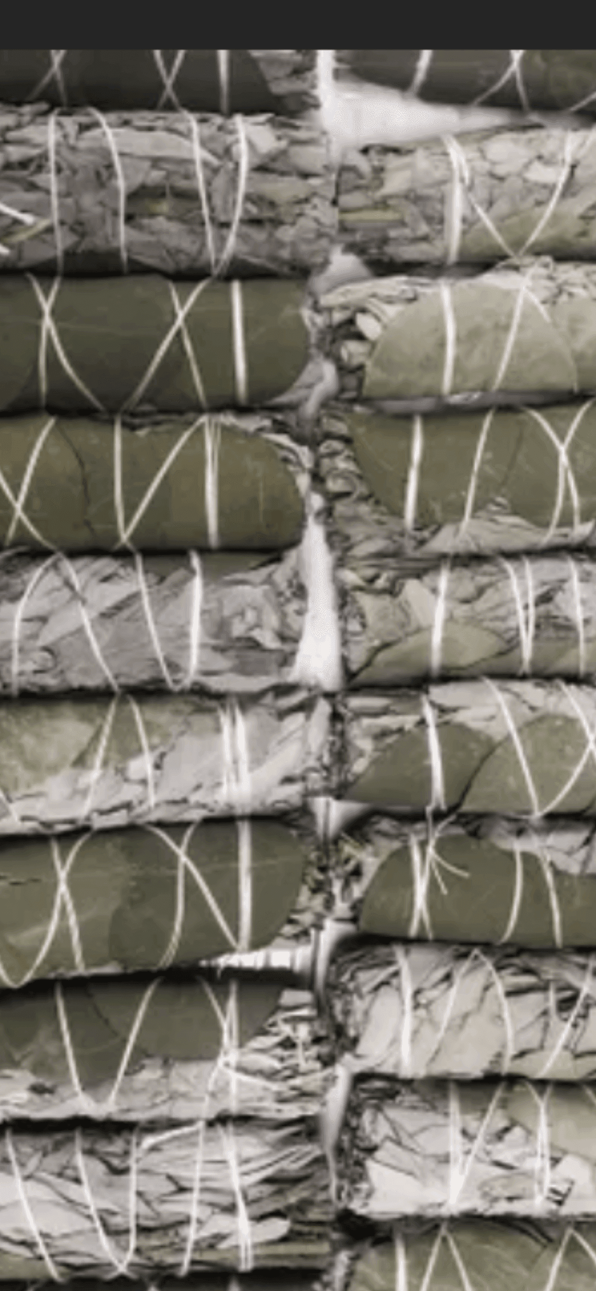 White Sage Smudge Stick with Eucalyptus - Default Title