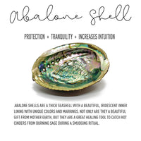 Abalone Shell for Smudging, Sage and Palo Santo Cleansing Rituals