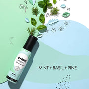 Wild Mint - NOTES