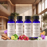 Hotel Fragrance Oil 4-Pack 3 with 1 Hotel, Aria, Delano and Wynn inspired scents