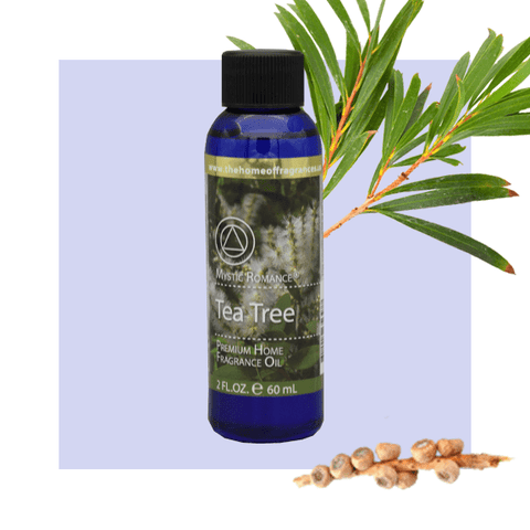 Tea Tree fragrance oil - Aroma Paradise